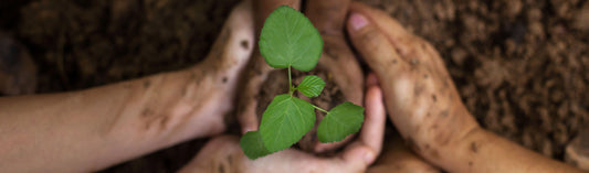 Working to Protect Our Planet <br> for Our Babies