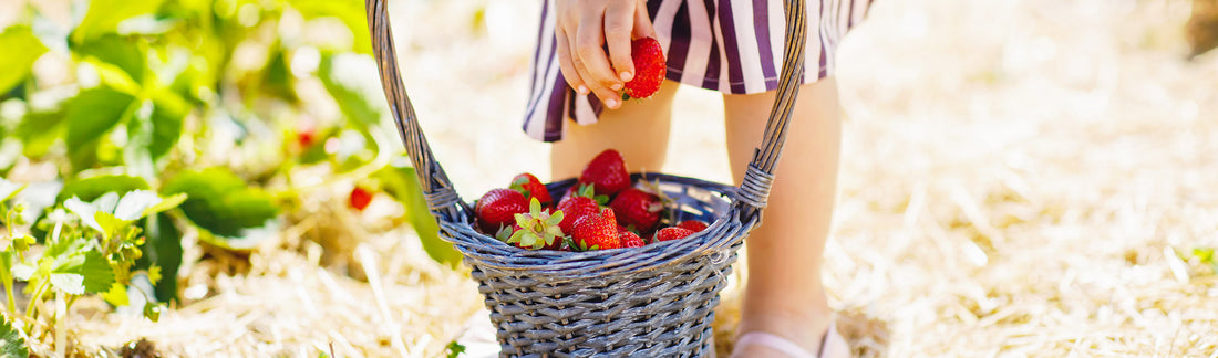 A Summer Bucket List: <br> 20 Fun Activities for Your Family | Kindred Bravely