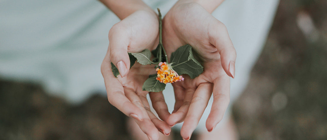 Five Healing Strategies After a Pregnancy Loss | Kindred Bravely