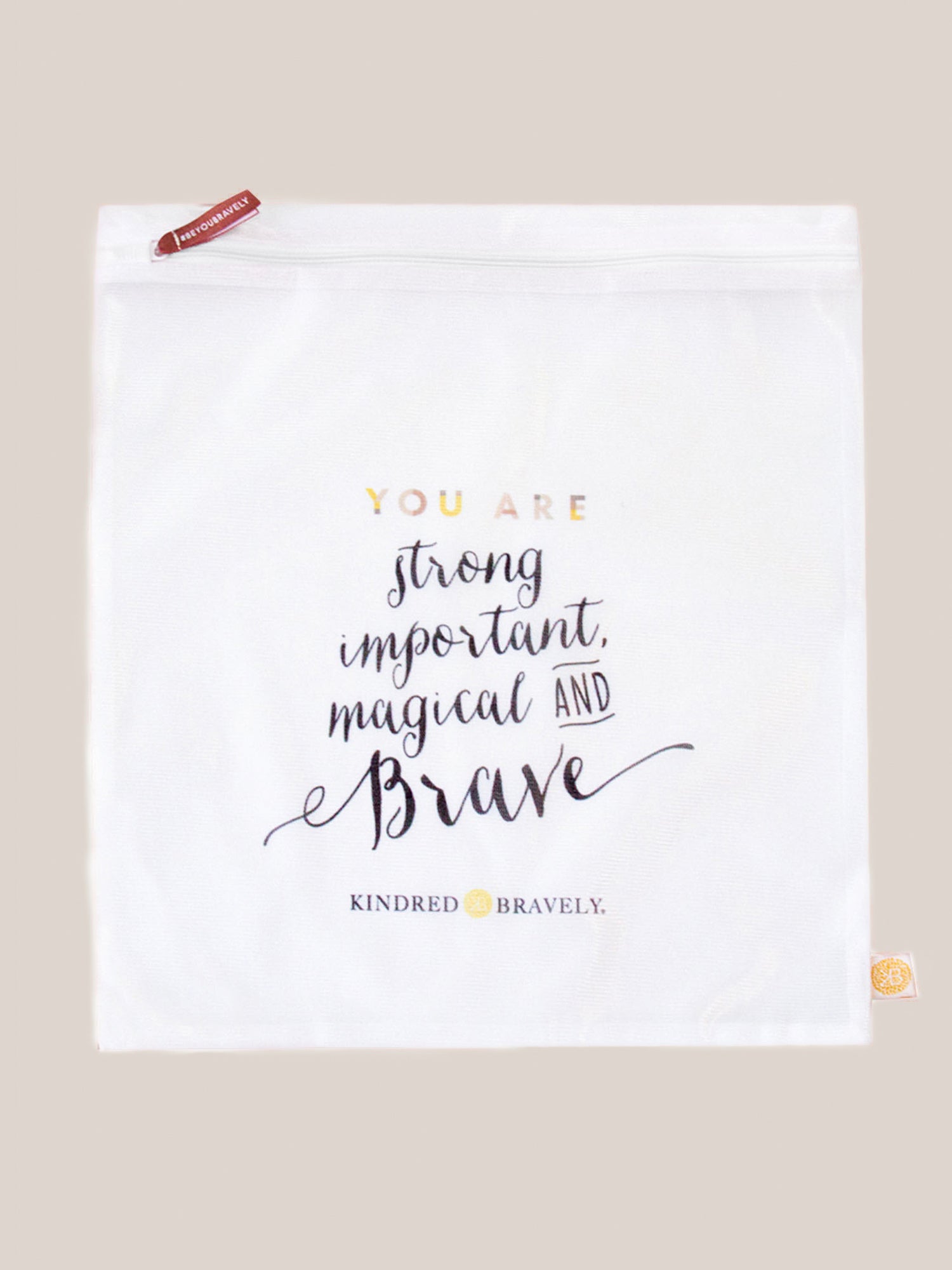 Image of the Mesh Lingerie Laundry bag against an off white background with a motivational saying