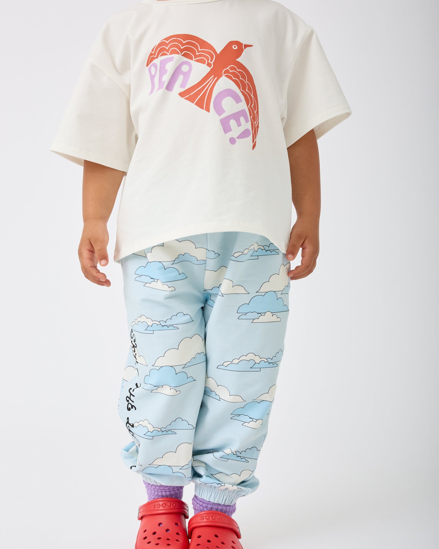 Model is wearing Graphic Tee in White Bird and French Terry Jogger in Blue Clouds on a gray background.@model_info:Giles is 2 years old and wearing 4T.