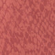 Terracotta Mamba